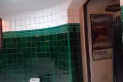 Emerald 6x6" field tiles with tulip border. Tin white tiles seen above