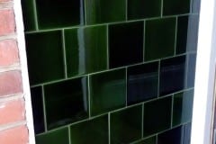 Mixed shades of dark olive porch 8 tile design with skirting, tulip border and dado