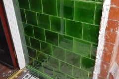 Porch Tiles in Olive with Olive skirting, tulip border and top dado